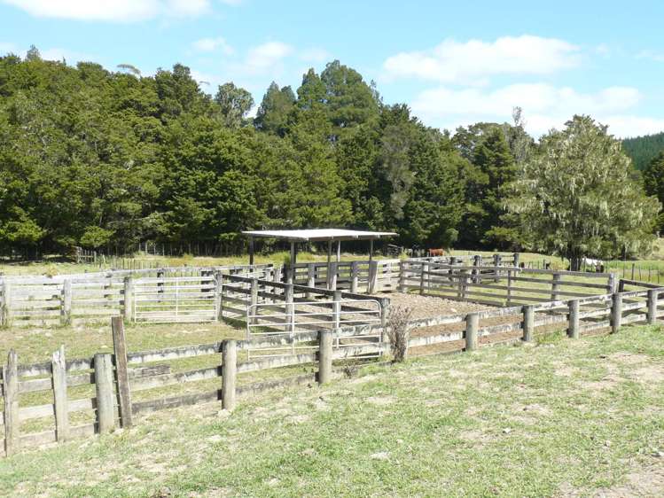 1327 Pupuke Mangapa Road Kaeo_13