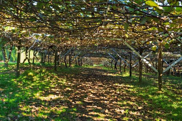 400 Old Highway Whakamarama_2