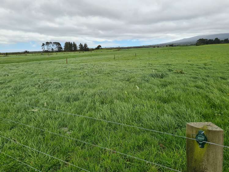 2344 Opunake Road Awatuna_10