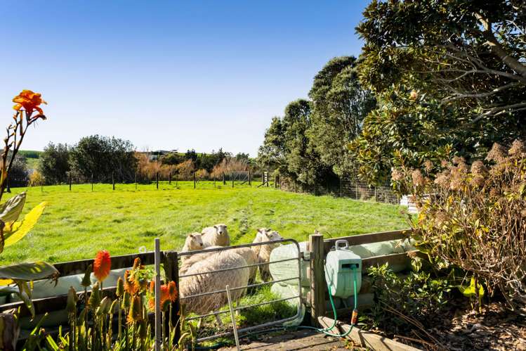 97 Manutahi Road Tarurutangi_13