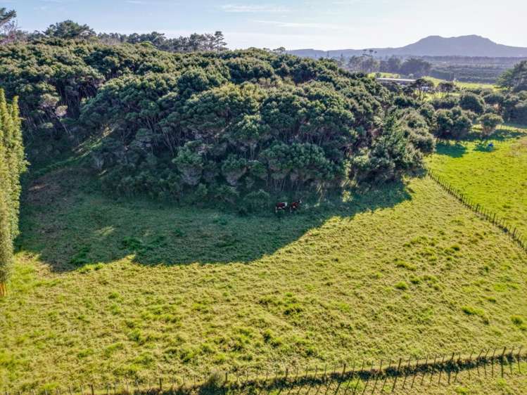 212C Whalers Road Pukenui_11