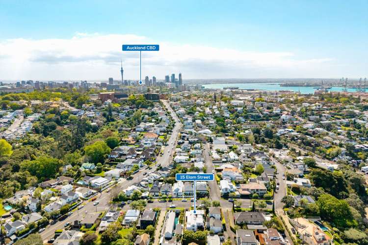 15 Elam Street Parnell_31