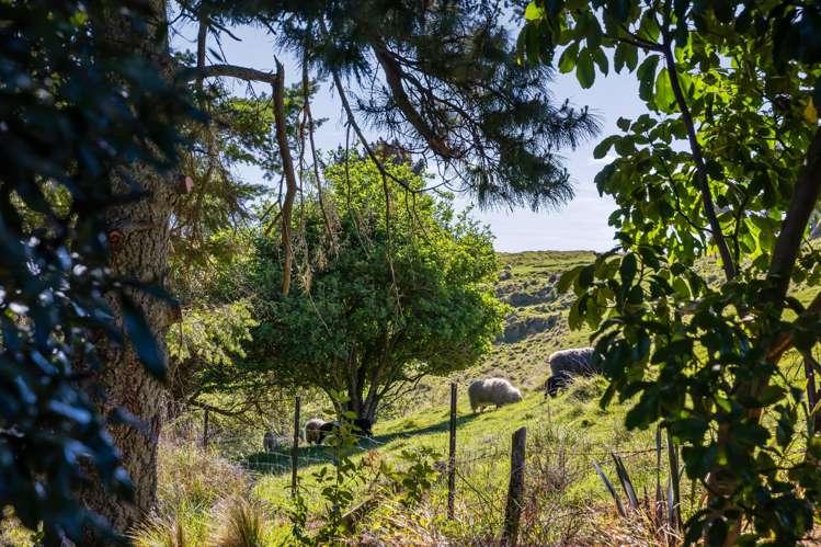 410 Worsleys Road Cashmere_22