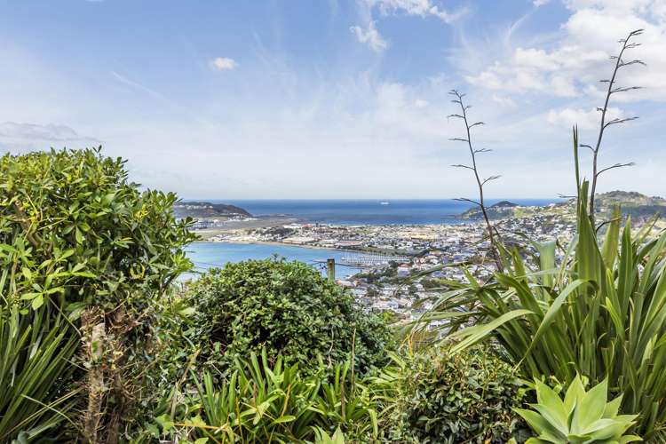 14 Alexandra Road Roseneath_10