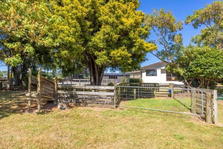 664 Ngaruawahia Road Te Kowhai_19