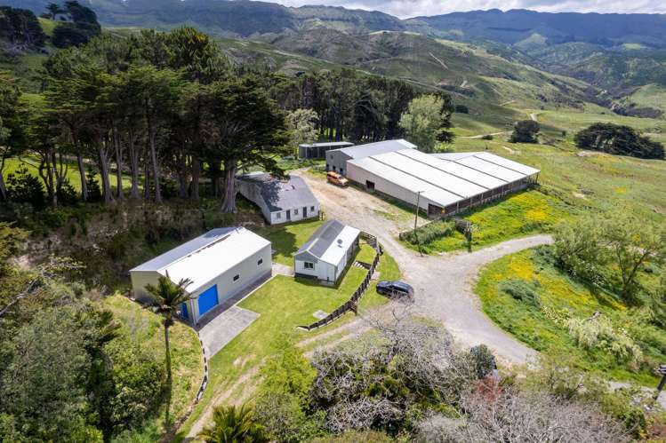 559 Korora Road_0