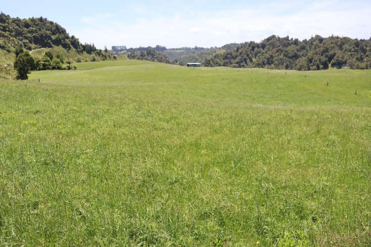 1099 Mataro Road Urenui_12