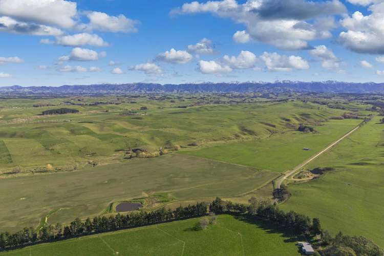 Ngaruru Road Ongaonga_11