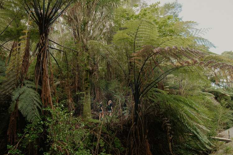 201 Kokako Heights Matata_6