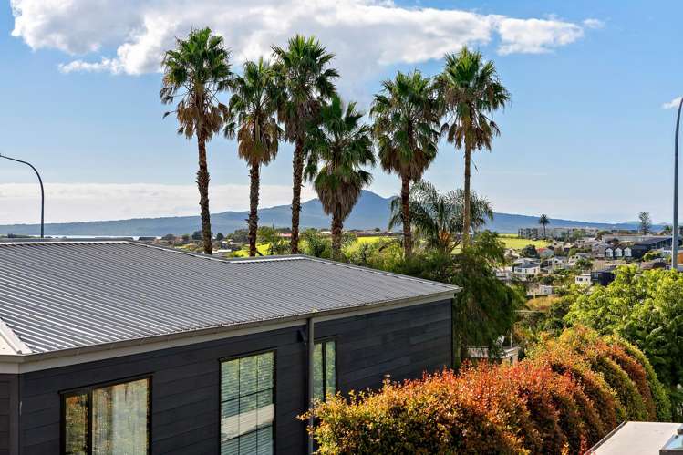 107a Coates Avenue Orakei_9