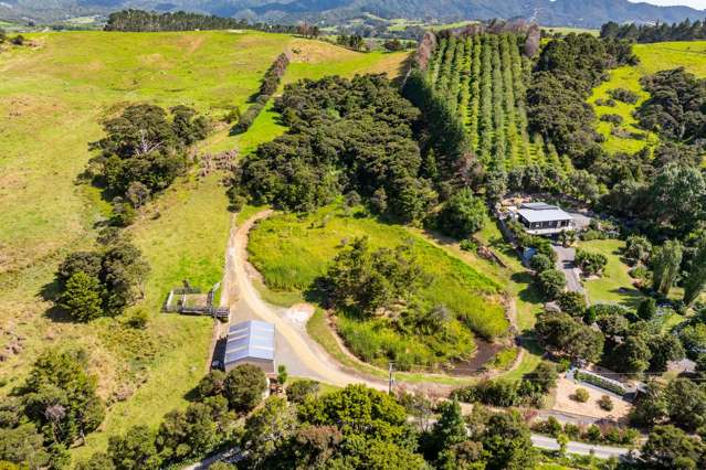 House, Shed, Orchard, Bush & Pasture