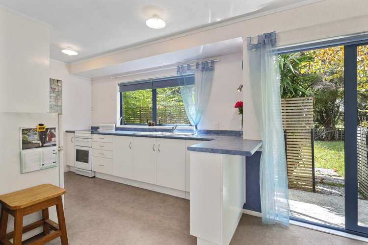 12a Hikutaia Street Te Aroha MatamataPiako Houses for Sale One