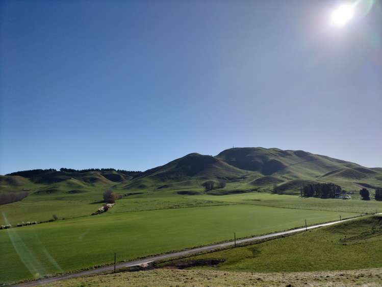 1455 Middle Road Poukawa_7