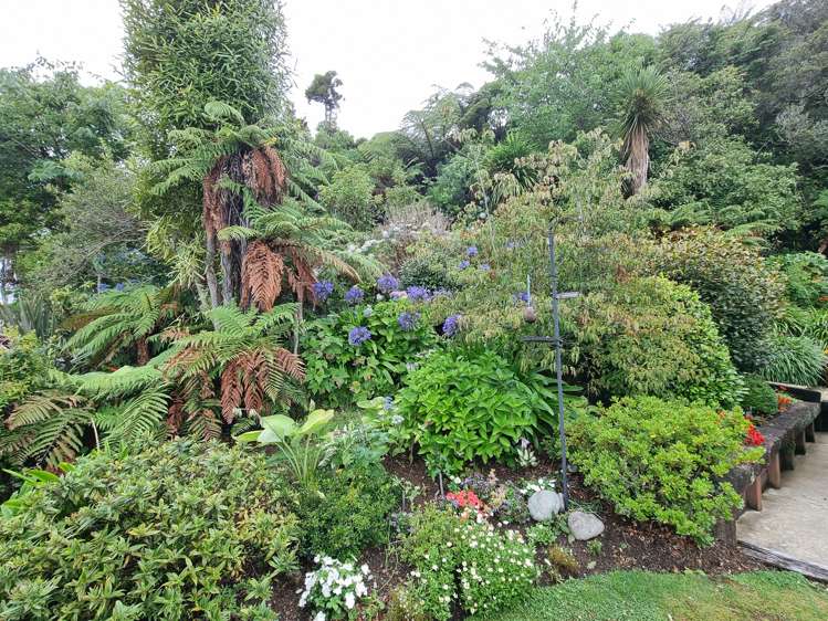 109 Alexander Street Greymouth_13