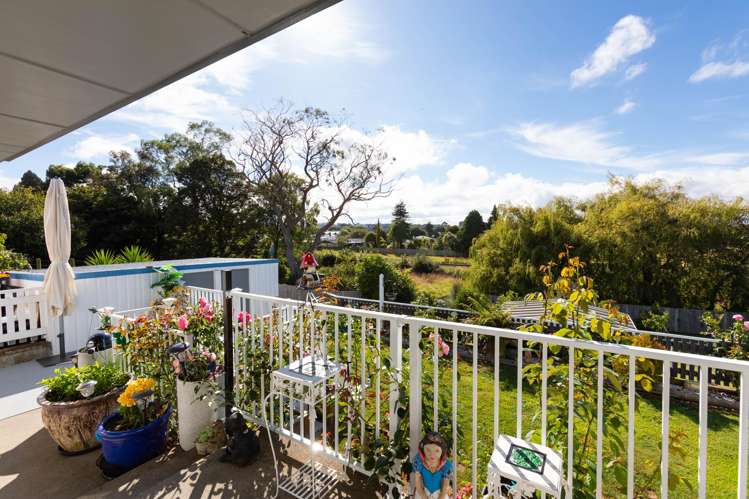 3A Allan Street Dannevirke_8