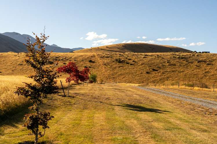 160D Manuka Terrace_3