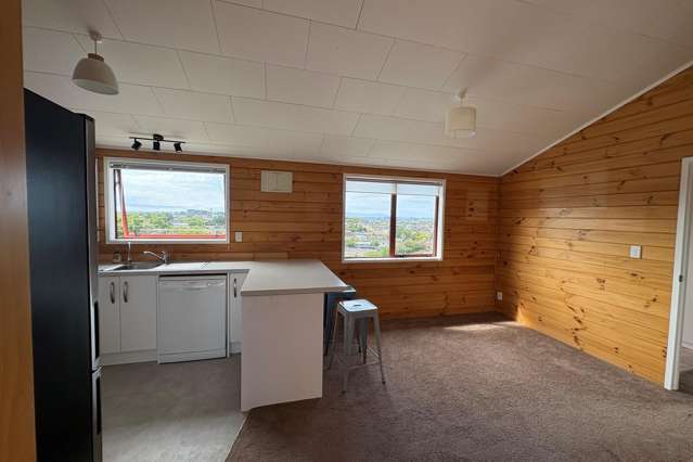 247 Wallace Terrace Te Awamutu_4