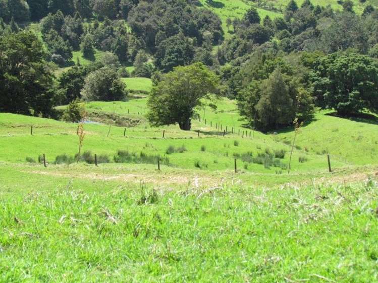 1871 State Highway 14 Mangapai and Surrounds_12