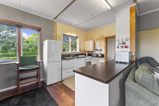 17 Argyle Avenue Levin_4