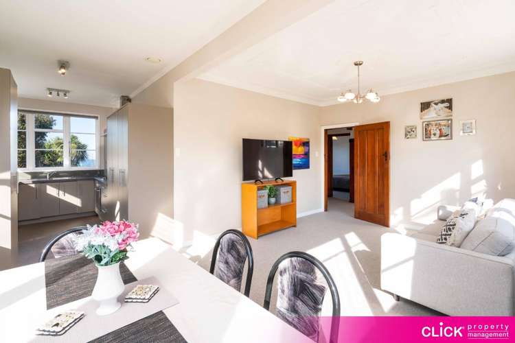 115 Mornington Road Kenmure_5