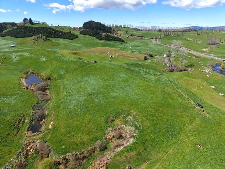 258 Wharepapa South Road Te Awamutu_6