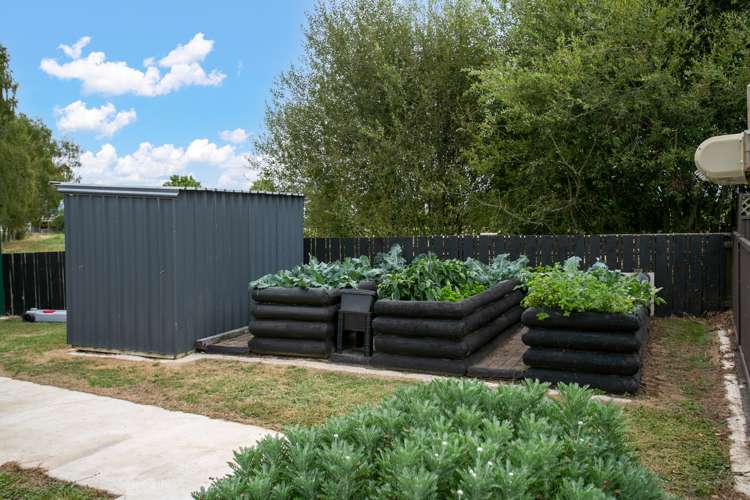 496 Roto O Rangi Road Rotoorangi_18