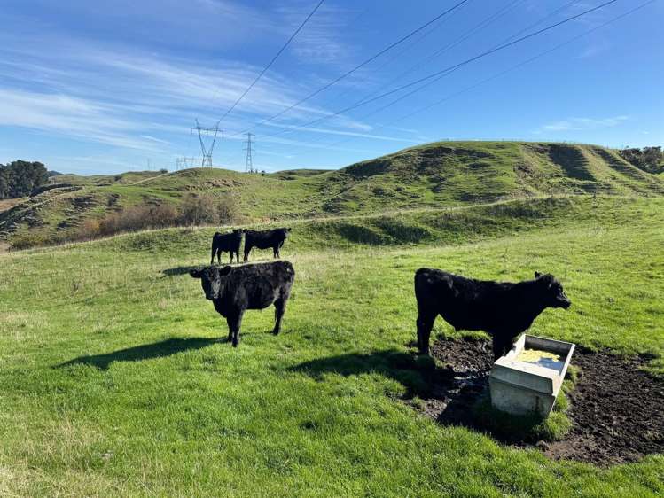 283a Western Line Brunswick_19