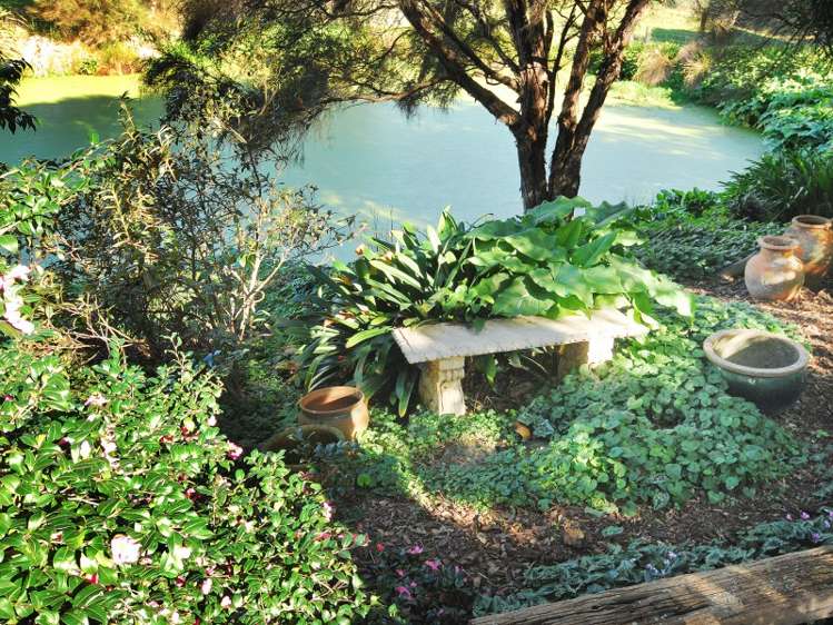 373 Lees Pakaraka Road Te Whiti_18