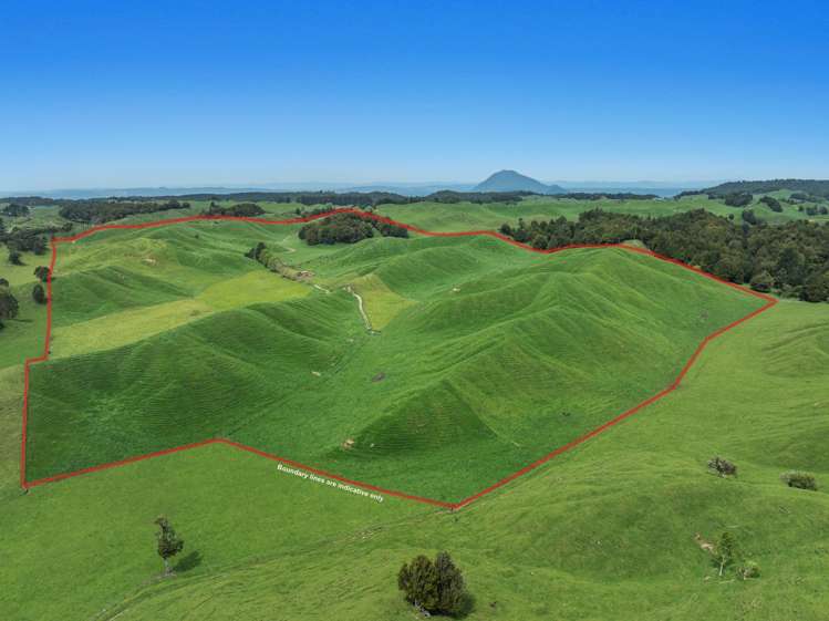 103 Rendall Road Rotoma_21