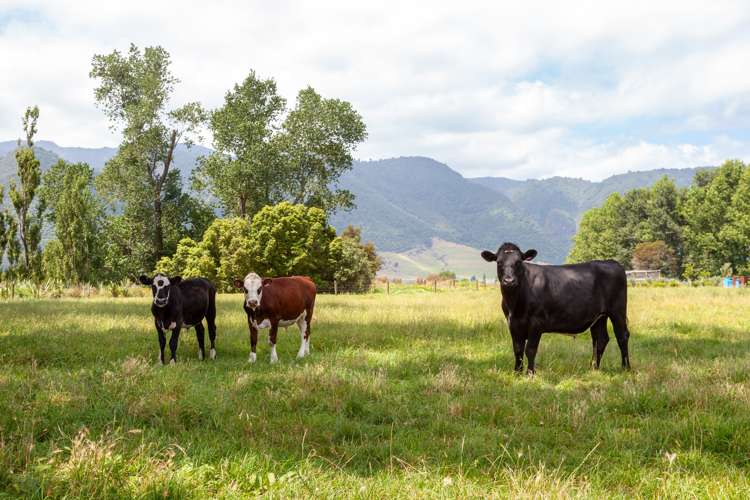 1394 Tower Road Wardville_28