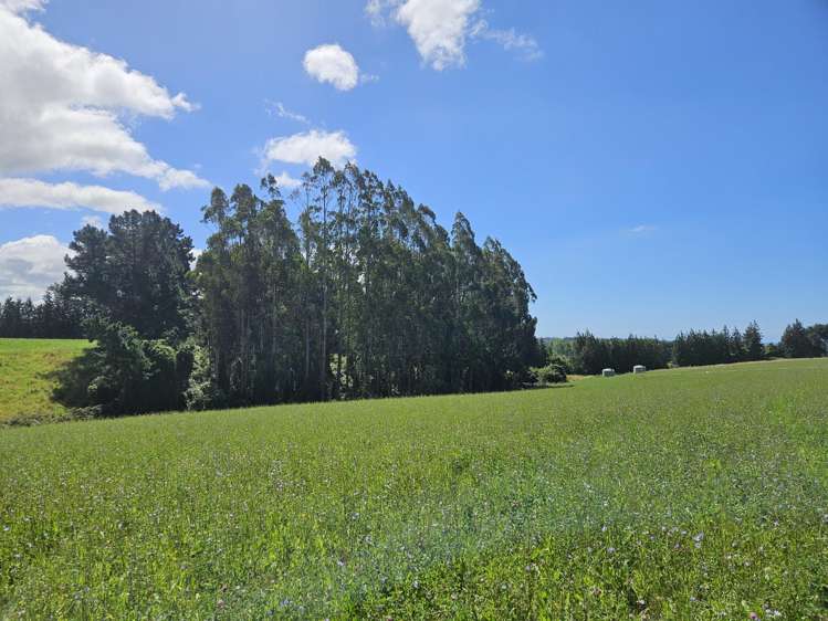 Lot 2 Brownleas Road Waimate_11