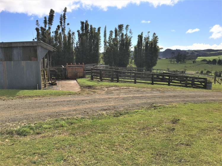 539 Martin Road Kaeo_8