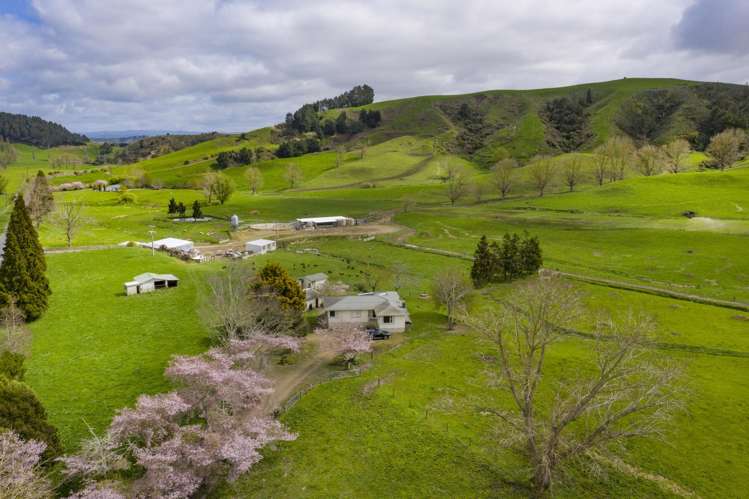 342 Happy Valley Road Maihiihi_21