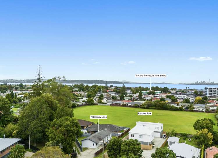 7 Barberry Lane Te Atatu Peninsula_21