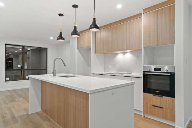 55 Paapaakiri Loop Takanini_3