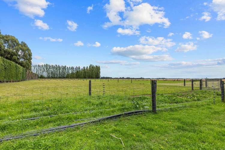 206 Cochranes Road Ashburton_34