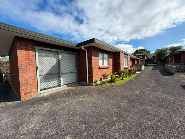 37A Brookfield Avenue Onehunga_2