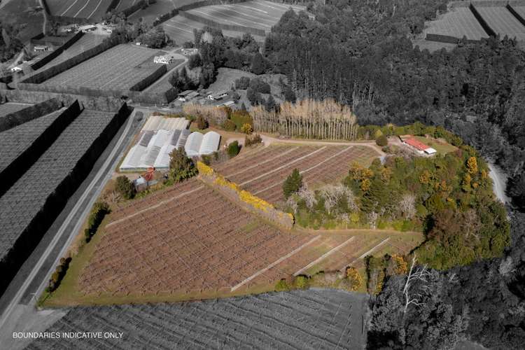 1164 Number 3 Road Te Puke_27