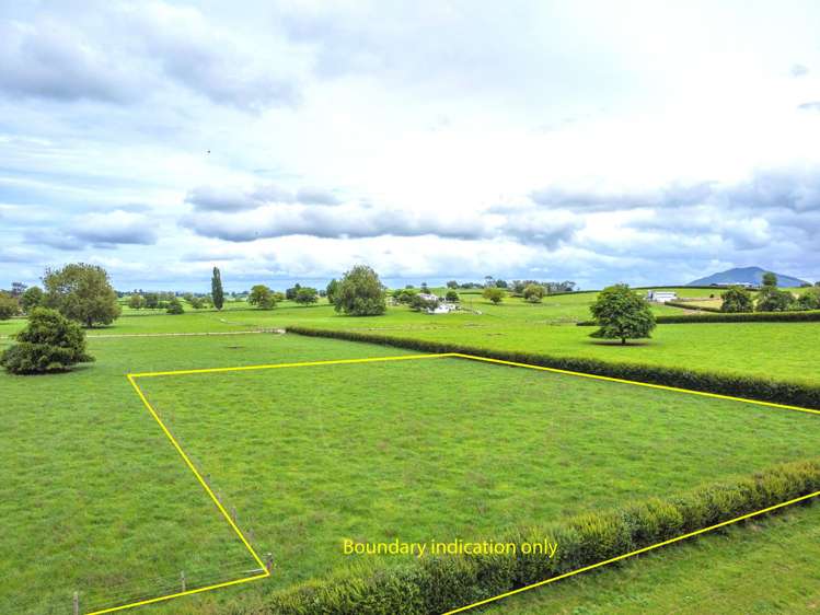 319 Pirongia Road Te Awamutu_2