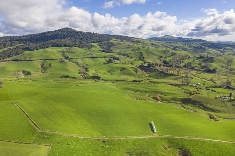 Piakonui Road Richmond Downs_14