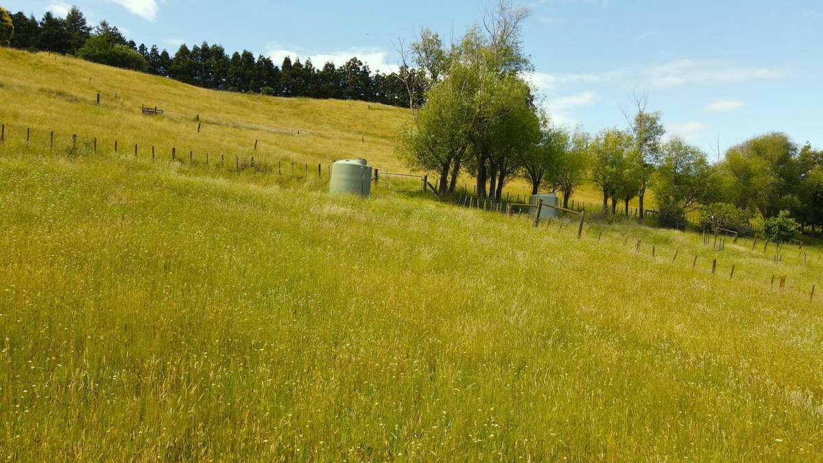 59C Totara Valley Road_1