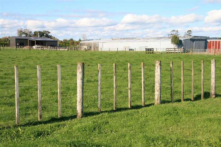 318c Manutahi Road Lepperton_16