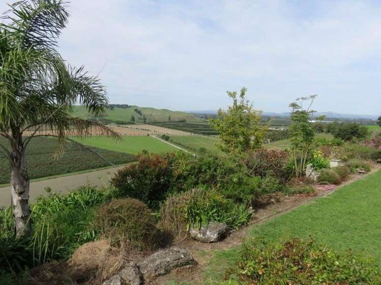 69 Pirau Road Fernhill_14