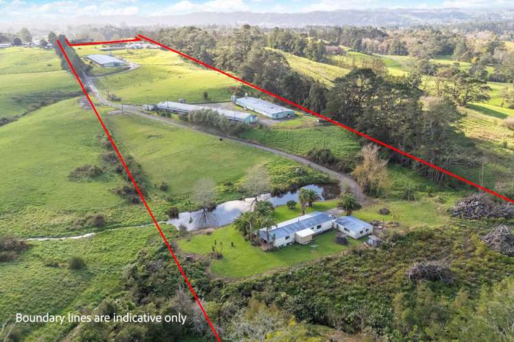 45 Tawa Road Kumeu_3