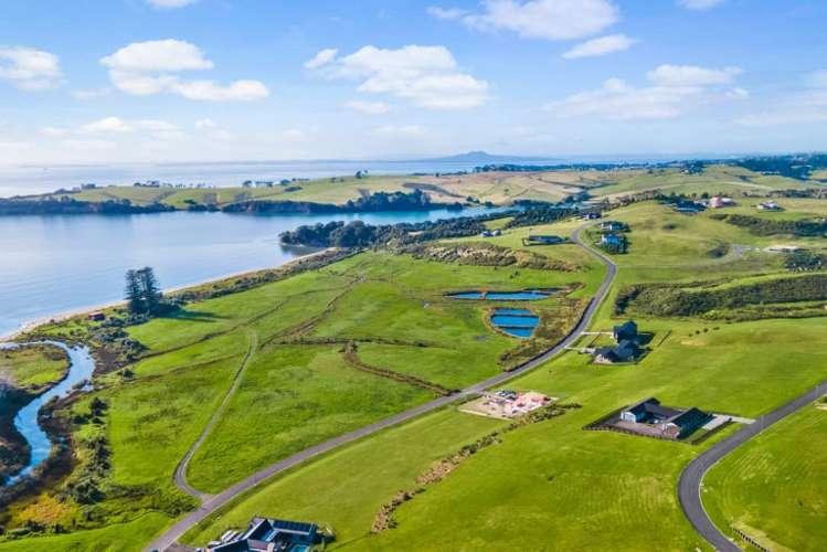 Lot 109 Weiti Bay Okura Bush_5