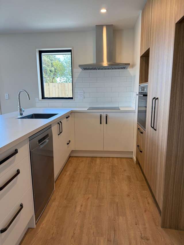 Lot 6/- Liz Cameron Lane Hokitika_2