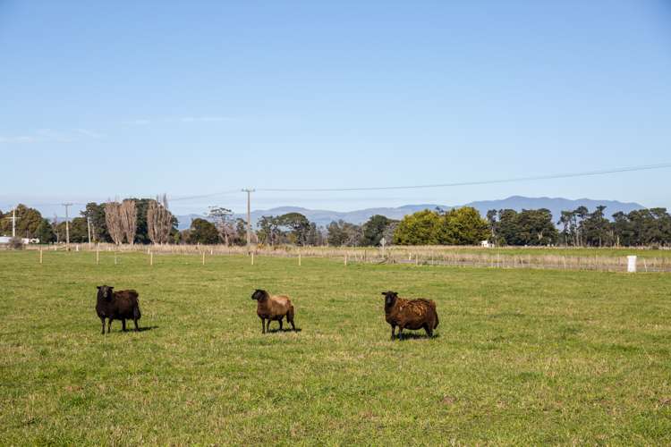 Lot 3 South Featherston Road Featherston_14