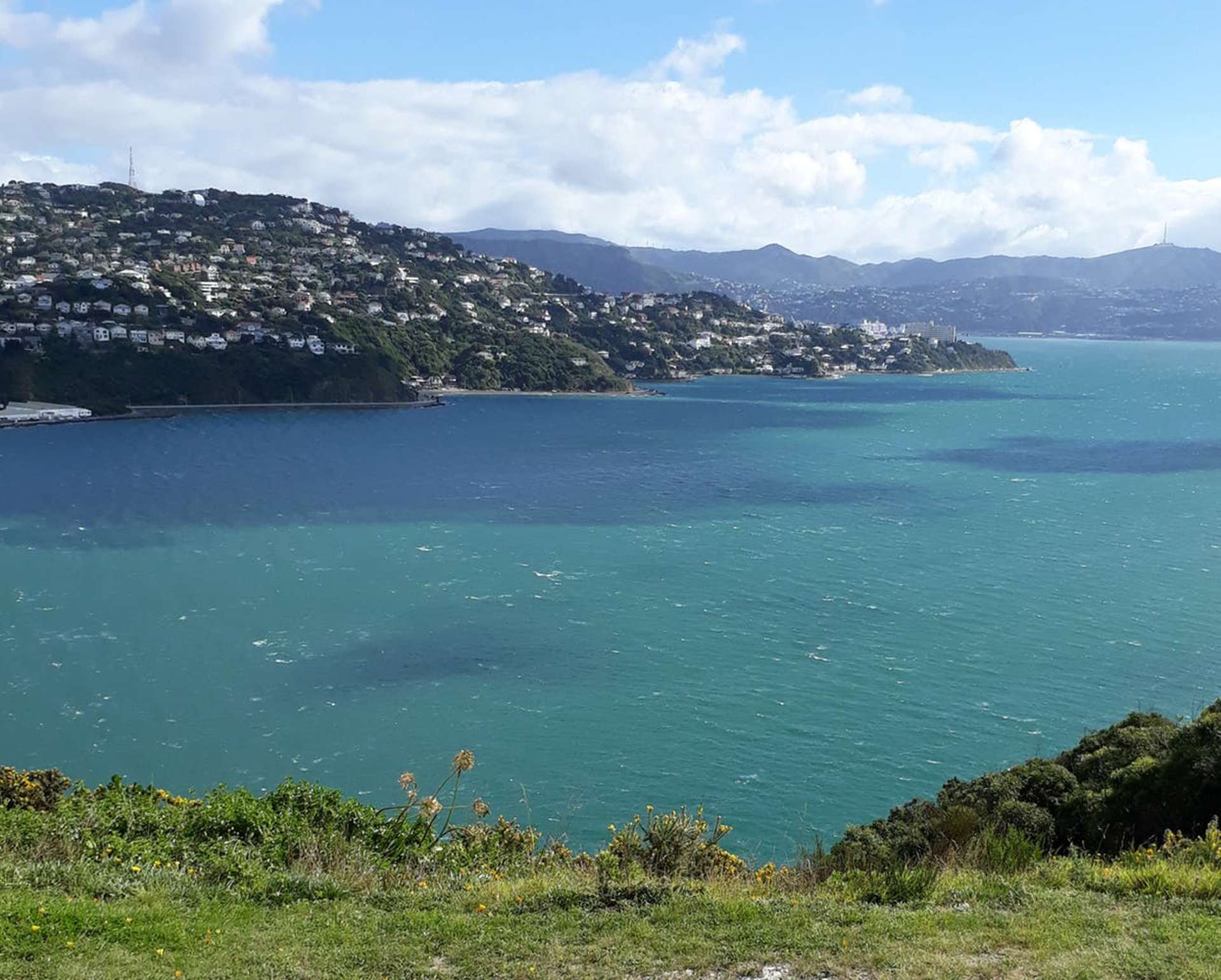 23 Rangitane Street Himatangi Beach_0