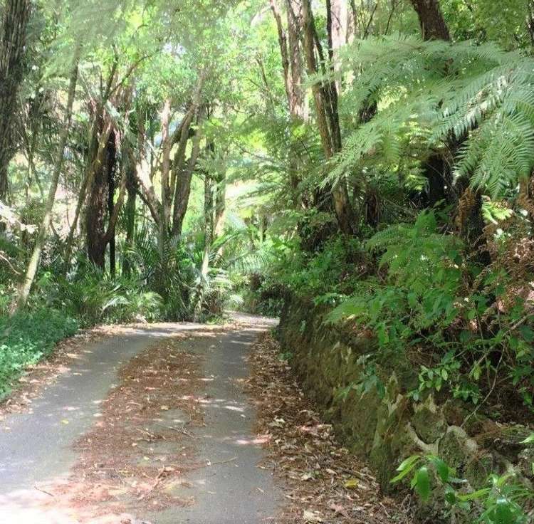 9 Kopiko Road Titirangi_1