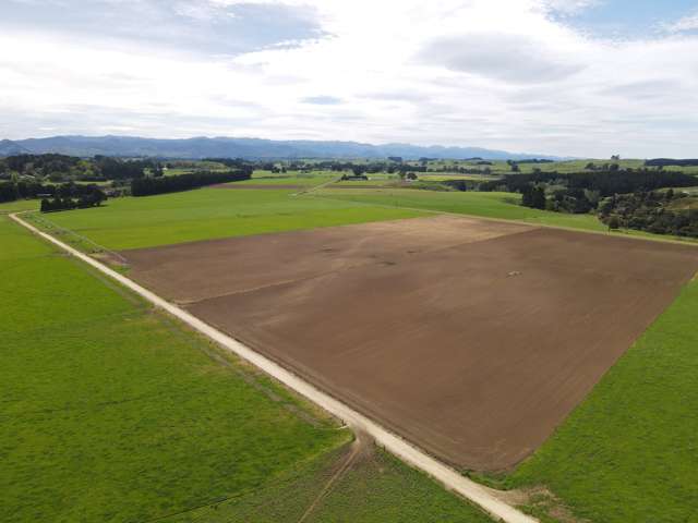 Quality and Scale Dairy - 325 ha